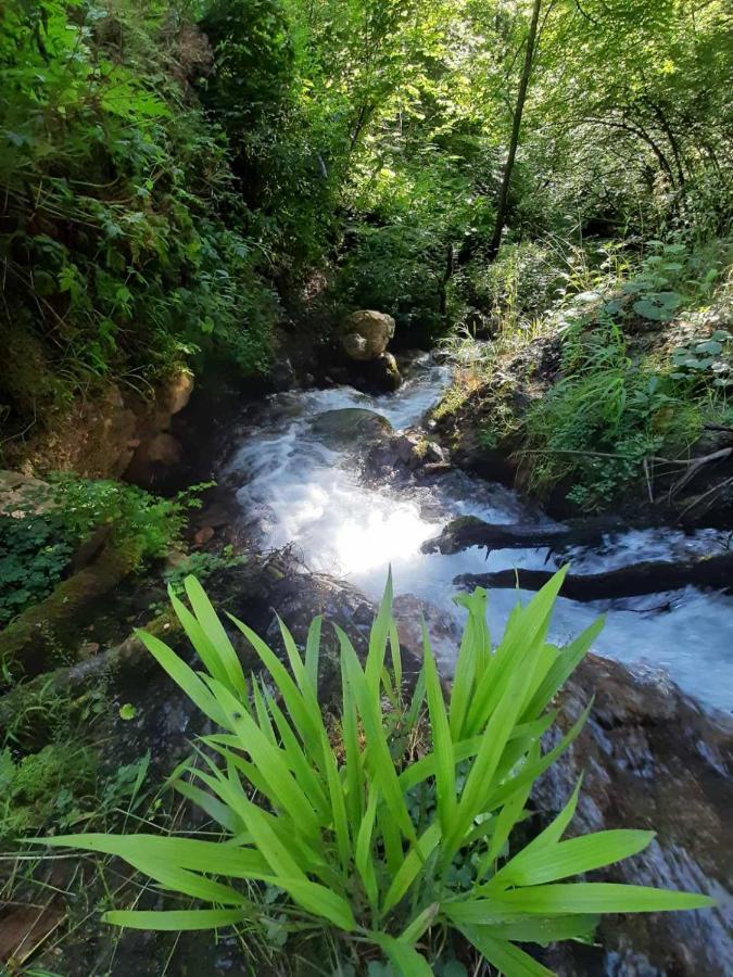 Camping & Glamping Grintovec Preddvor Exterior foto