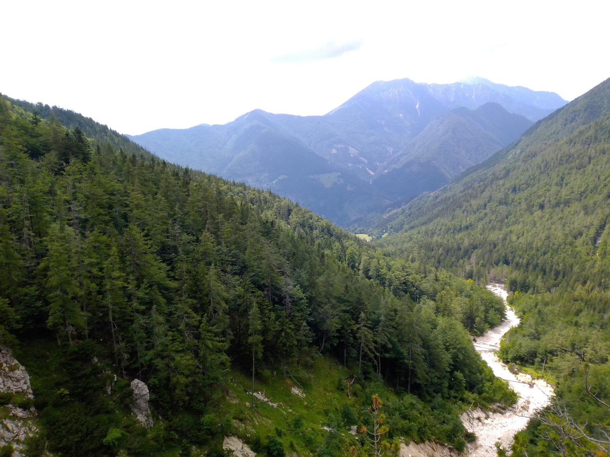 Camping & Glamping Grintovec Preddvor Exterior foto