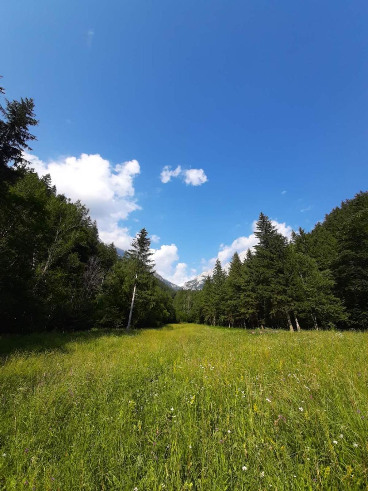 Camping & Glamping Grintovec Preddvor Exterior foto